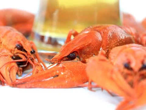 Fresh boiled crayfish Stock Photos