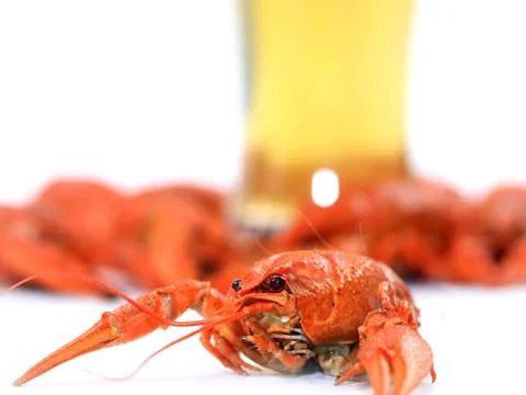 Fresh boiled crayfish 库存照片
