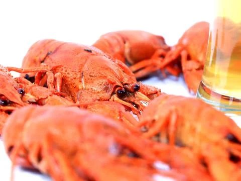 Fresh boiled crayfish Stock Photos