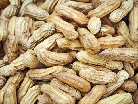 Fresh Boiled Peanuts Stock Photos