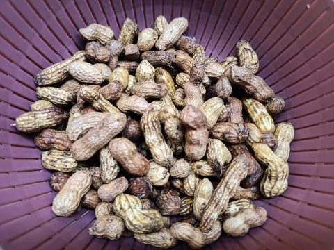 Fresh Boiled Peanuts In Shell Inside Plastic Basket Фото