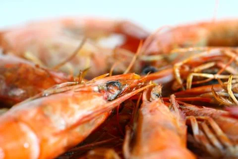 Fresh boiled shrimp Stock Photos