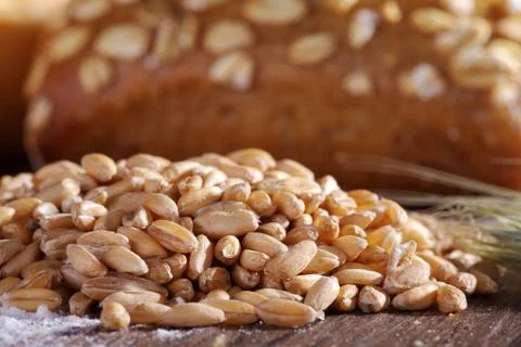 Fresh bread and buns close up Stock Photos