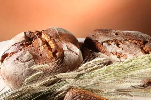 Fresh bread and buns Stock Photos