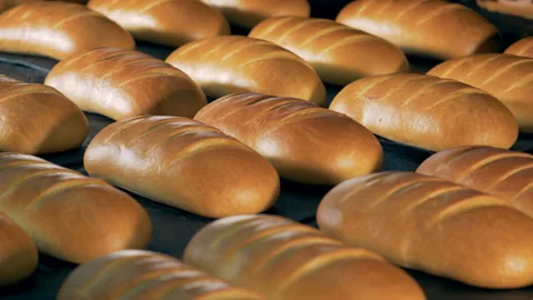 Fresh bread at a bakery plant. Many loaves of white bread lay on a tray. Stock Footage 94827448
