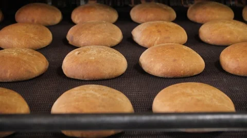 Fresh Bread Cakes. Baking Production. Stock Footage 174726125