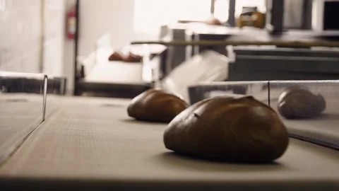 Fresh Bread On The Conveyor Belt. Stock Footage 142872833