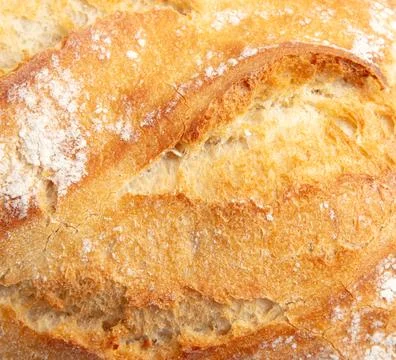 Fresh bread crust as background. Stock Photos