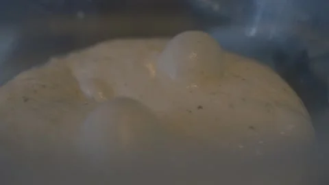 Fresh Bread Dough 動画素材 286811983