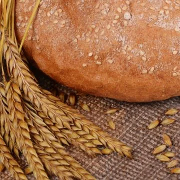 Fresh bread with ears a rye Stock Photos