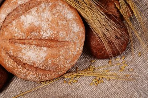 Fresh bread with ears a rye Stock Photos