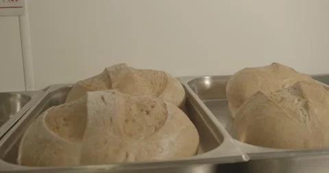 FRESH BREAD Stock Footage 260411592