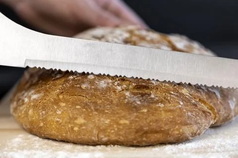 Fresh bread on the kitchen table, the chef slices white bread. The concept of Photos