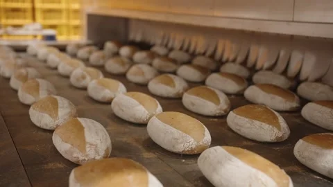 Fresh bread loaves on conveyor belt in industrial bakery production line Stock Footage 333525267