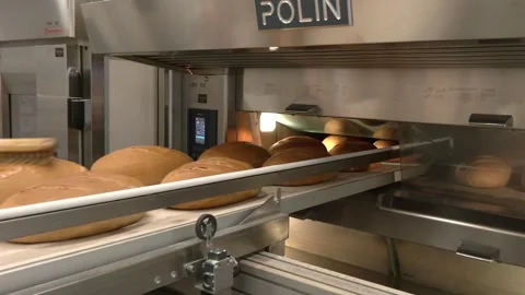 Fresh Bread Loaves Emerging from Commercial Bakery Oven Vídeo Stock 346472168