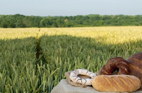 Fresh bread, pastries on a background of wheat field. Clear sunny day Stock Photos