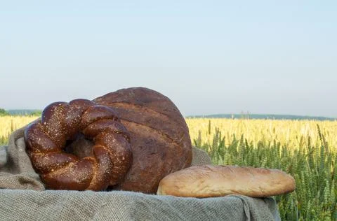 Fresh bread, pastries on a background of wheat field. Clear sunny day Stock Photos