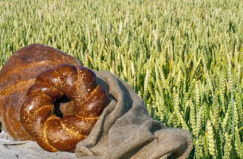 Fresh bread, pastries on a background of wheat field. Clear sunny day Stock Photos