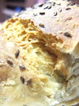 Fresh bread. Stock Photos