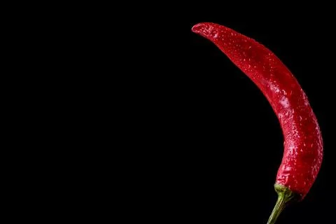 Fresh bread Stock Photos