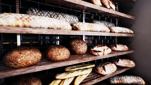 Fresh bread on shelves in bakery 库存插图