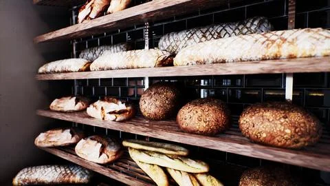 Fresh bread on shelves in bakery 库存插图