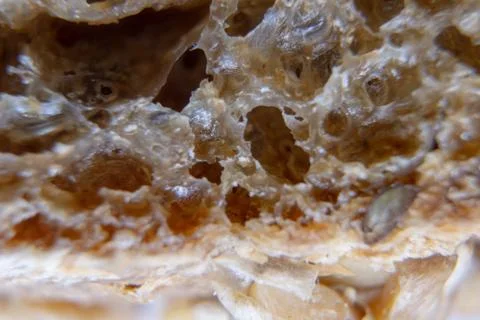 Fresh bread slice macro shot. Bread extreme close-up. Stock Photos