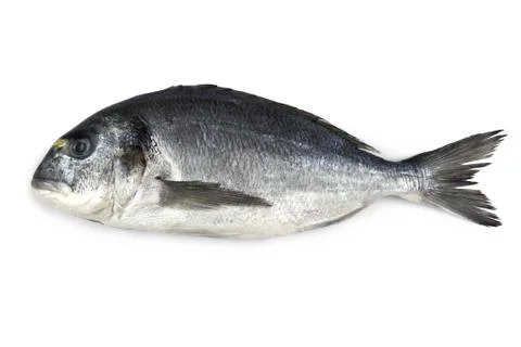 Fresh bream fish isolated Stock Photos