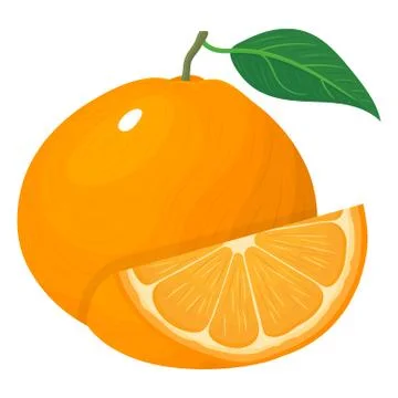 Fresh bright composition of exotic whole and cut slice tangerine or mandarin  Illustrazione stock
