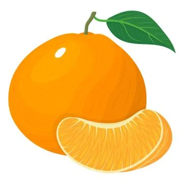 Fresh bright composition of exotic whole and slice tangerine or mandarin isol Stock Illustration