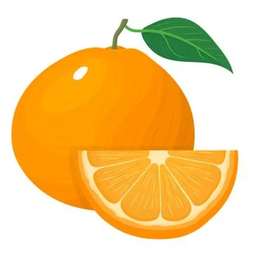 Fresh bright composition of exotic whole and cut slice tangerine or mandarin  Stock Illustration