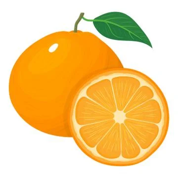 Fresh bright composition of exotic whole and cut slice tangerine or mandarin  Stock Illustration