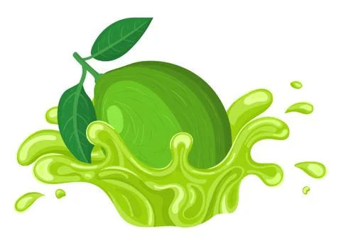 Fresh bright lime juice splash burst isolated on white background. Summer fru Stock Illustration