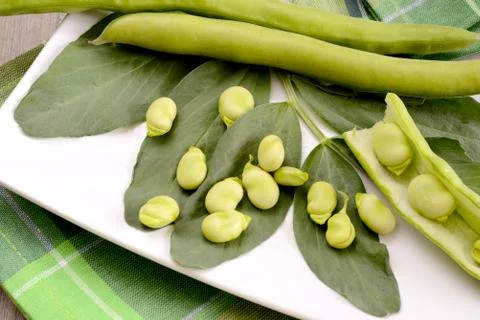 Fresh broad bean Foto stock