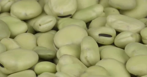 Fresh broad beans closeup rotating loopable Stock Footage 145322486