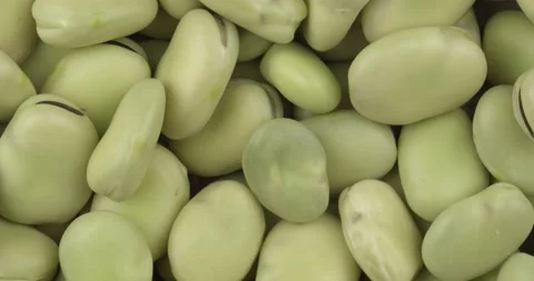 Fresh broad beans closeup rotating loopable Stock Footage 148262467