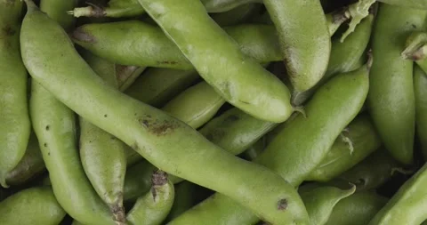 Fresh broad beans closeup rotating top view Stock Footage 165733419