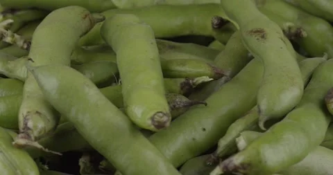 Fresh broad beans closeup rotating selective focus Stock Footage 165746185