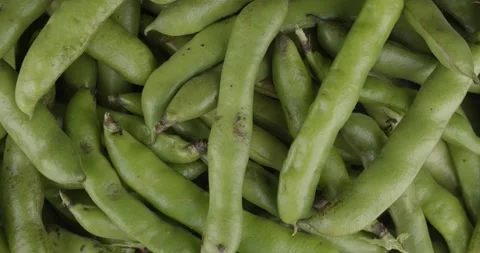 Fresh broad beans closeup rotating top view Stock Footage 167275774