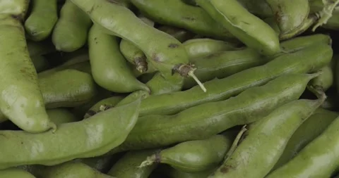 Fresh broad beans closeup rotating selective focus Stock Footage 167962585