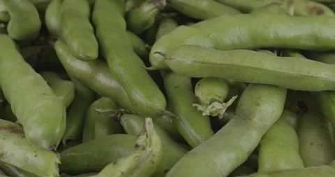 Fresh broad beans closeup rotating selective focus Stock Footage 170379626