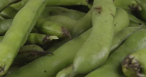 Fresh broad beans closeup rotating selective focus Stock Footage 171531173