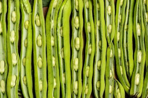 Fresh broad beans in Flat lay. Stock Photos