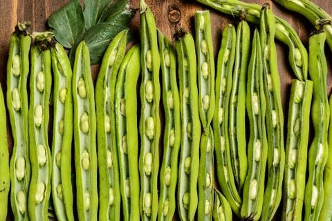 Fresh broad beans in Flat lay. Stock Photos