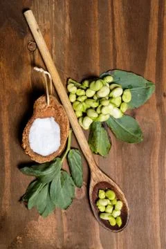 Fresh broad beans in Flat lay. Stock Photos