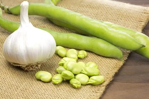 Fresh broad beans with garlic Stock Photos