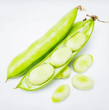 Fresh Broad Beans Isolated on White Background, Vicia faba Green Pod Legume.. Stock Photos