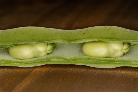 Fresh Broad Beans Stock Photos