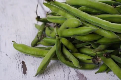 Fresh  broad beans in the pod close up Stock Photos