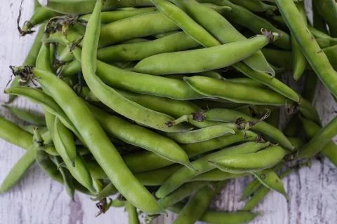 Fresh  broad beans in the pod close up Stock Photos